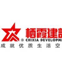 棲霞建設董事會決議公告 選舉江勁松為董事長、總裁及投資興辦實業